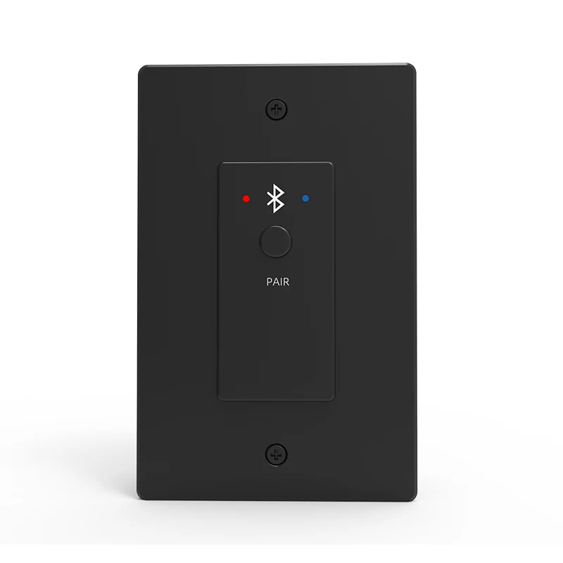 2CH Bluetooth Dante-paneel