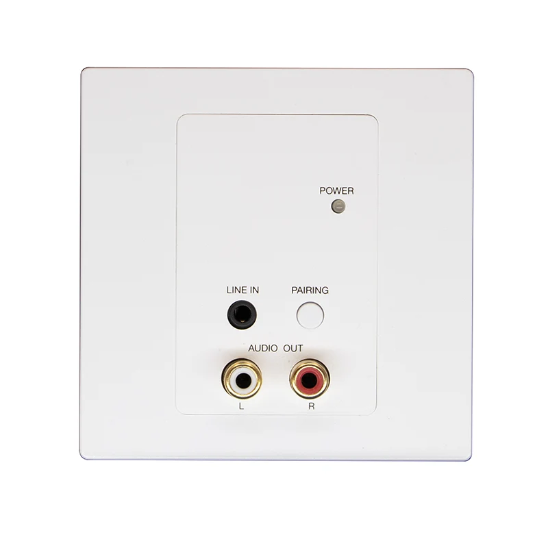 2CH RCA Bluetooth Dante audiopaneel